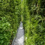 Waldvilla Bergsee Appartement *