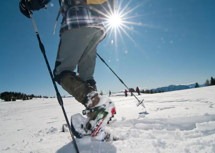 Lägenhet Waldvilla Bergsee *